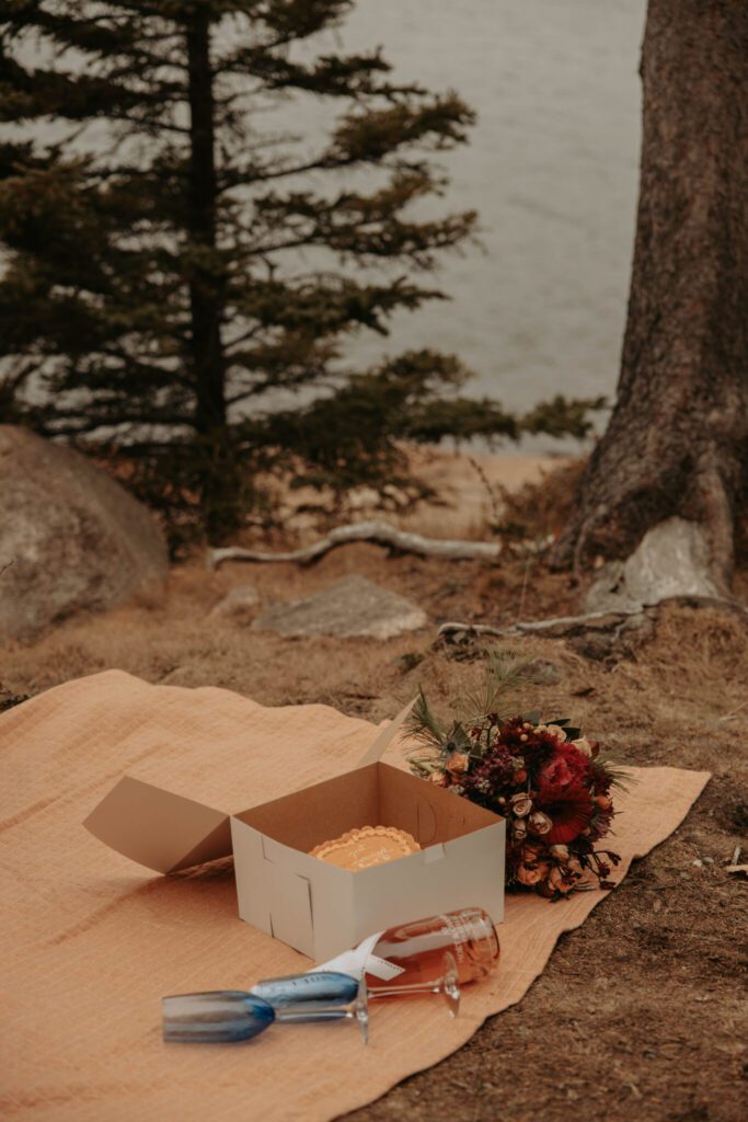 Otter Point intimate wedding picnic